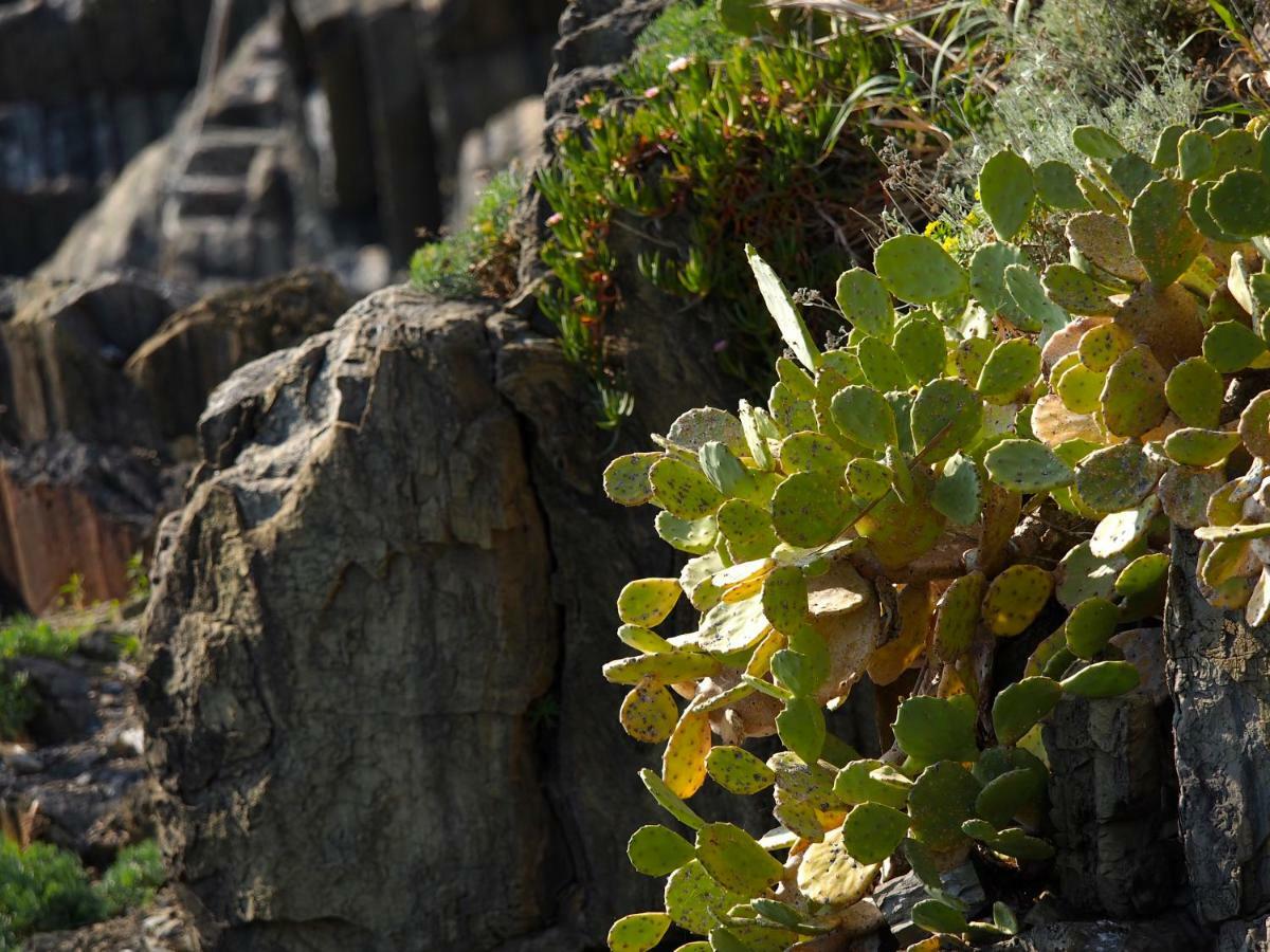 Agave Room Rental Riomaggiore Bagian luar foto